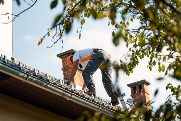 Best Slate Roofing Contractor  in Frankford, DE