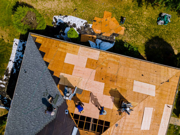 Best Roof Gutter Cleaning  in Frankford, DE