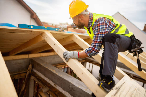 Roof Gutter Cleaning in Frankford, DE