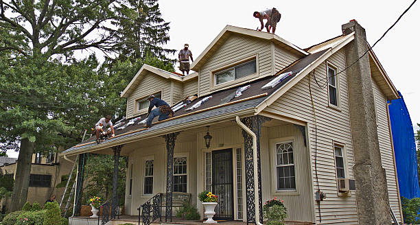Best Roof Repair Services  in Frankford, DE