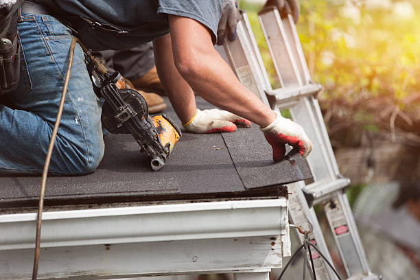 Best Shingle Roofing Installation  in Frankford, DE
