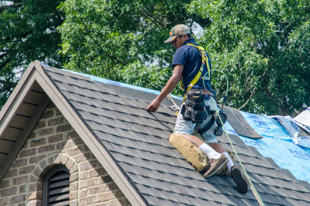 Best Roof Repair Services  in Frankford, DE